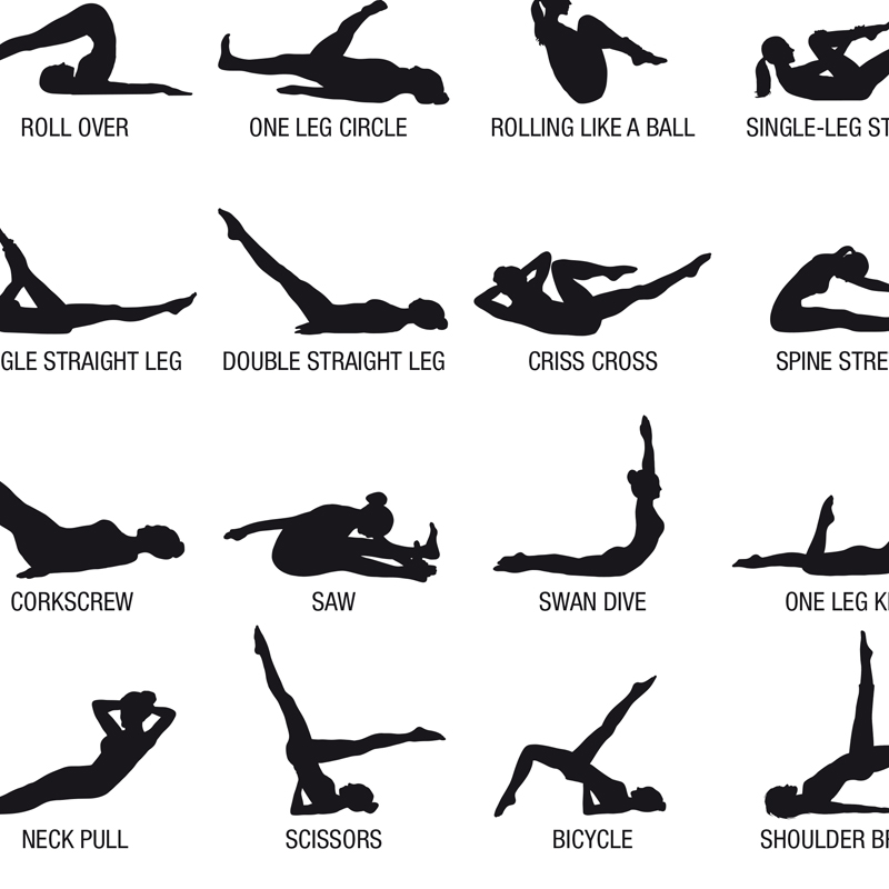 โปสเตอร์แผนภาพการออกกำลังกายพิ - Yoga Fitness Gym บทวิจารณ์และราคา